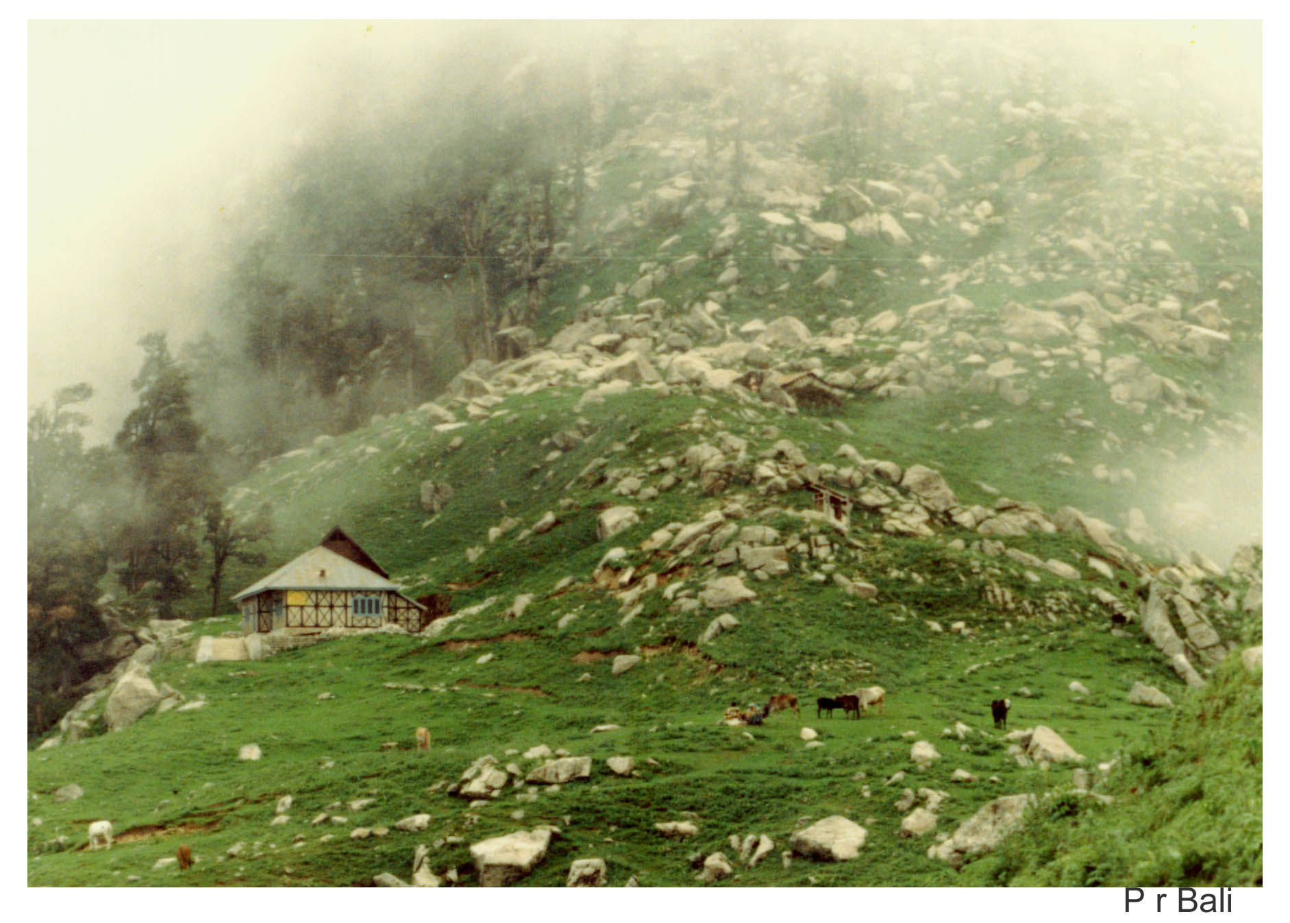 Triund Dhauladhar hills Kangra valley 9325 ft image P r Bali